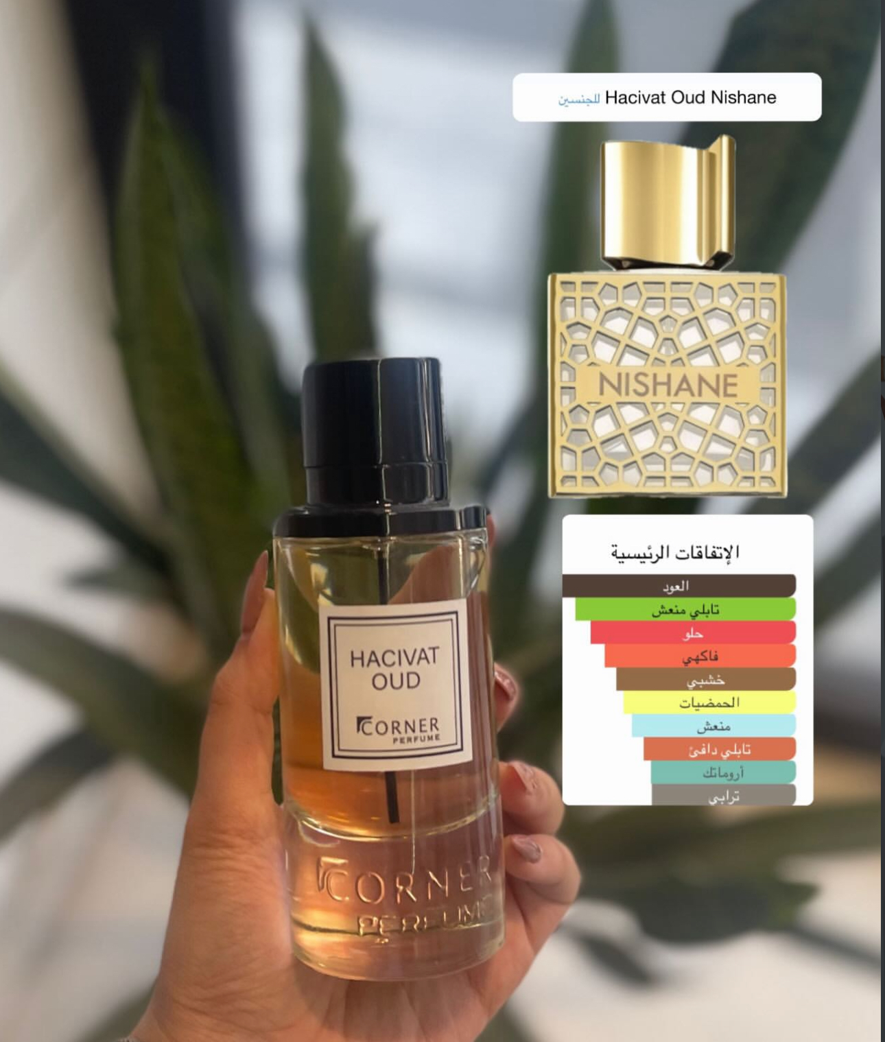 عطور